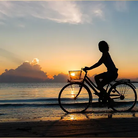 Bansin Seepferdchen 3 *