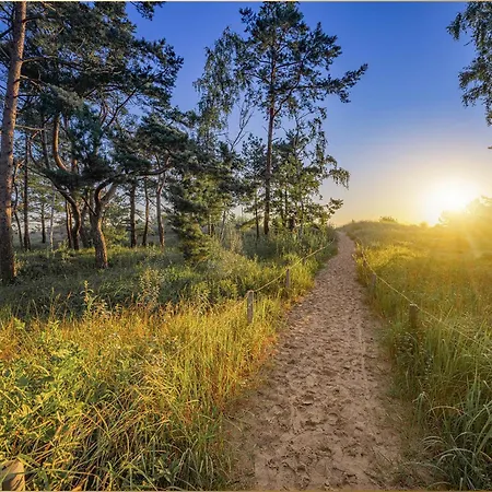 Bansin Seepferdchen 3